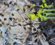 Shreds of memories Kunstwerk Shreds of memories