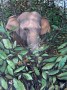 Highway Elephant Kunstwerk Highway Elephant