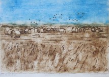 Landschap met hooi Landschap met hooi
