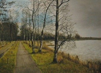 dwingelderveld dwingelderveld