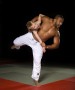 Kunstwerk Judo