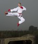 Karate Kunstwerk Karate