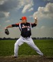 Honkbal Kunstwerk Honkbal
