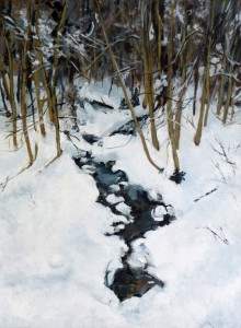 Brook Brook