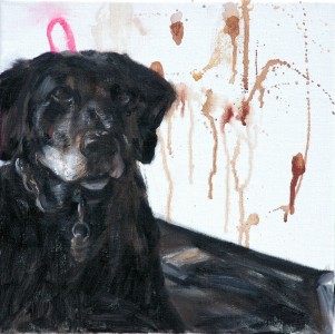 Hond Hond
