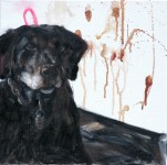 Hond Hond