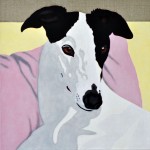 Kate - portrait of a Greyhound 7 Kate - portrait of a Greyhound 7