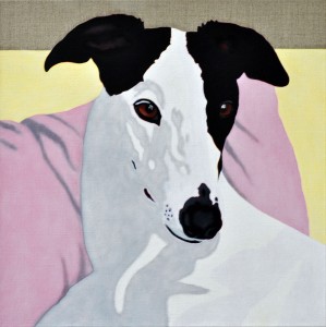 Kate - portrait of a Greyhound 7