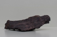 calastone violet 1 calastone violet 1