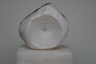 metamorfose metamorfose