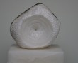 metamorfose Kunstwerk metamorfose