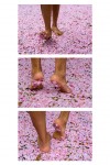 SpringDance SpringDance