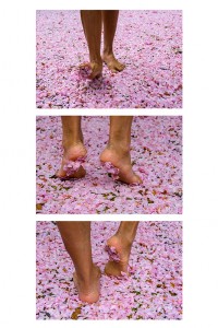 SpringDance SpringDance