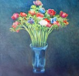 Anemonen Anemonen