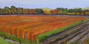 herfst op de dijk herfst op de dijk