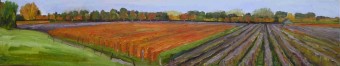 herfst op de dijk herfst op de dijk