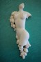 Papaver Lady Kunstwerk Papaver Lady