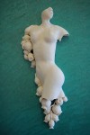 Papaver Lady Papaver Lady