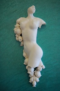 Papaver Lady Papaver Lady