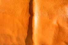 Orange Drum Orange Drum