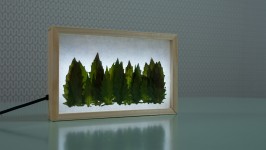 maanlicht maanlicht