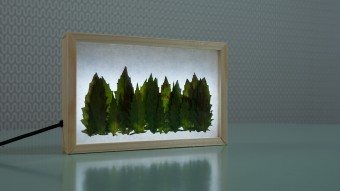 maanlicht maanlicht