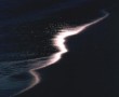 Evening Tide Line Kunstwerk Evening Tide Line