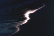 Evening Tide Line Evening Tide Line