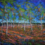 Soestduinen Soestduinen