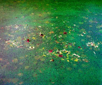 Poezie van het alledaagse:Een ode aan Monet Poezie van het alledaagse:Een ode aan Monet