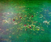 Poezie van het alledaagse:Een ode aan Monet Poezie van het alledaagse:Een ode aan Monet
