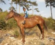 Cowboys  Kunstwerk Cowboys
