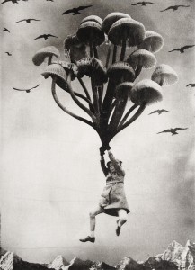 The Girl and The Mushrooms The Girl and The Mushrooms