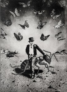 The Boy and The Ants The Boy and The Ants
