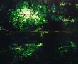 Heart of darkness #17 Kunstwerk Heart of darkness #17