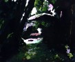 Heart of Darkness #21 Kunstwerk Heart of Darkness #21