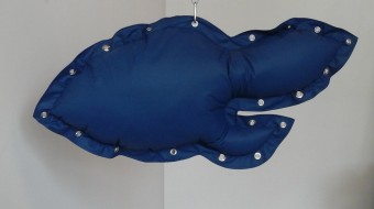 Blauwe Vis Blauwe Vis