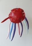 Octopus Octopus