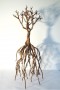 The Whole Tree Kunstwerk The Whole Tree