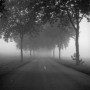 Misty morning road Kunstwerk Misty morning road