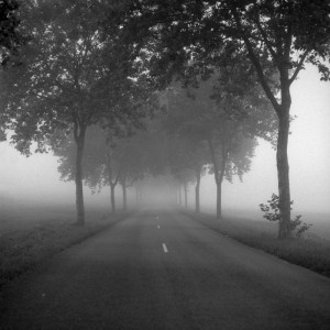 Misty morning road