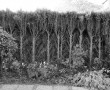 Achtertuin Kunstwerk Achtertuin