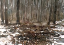 Abcovense Bosjes - 01122018 Abcovense Bosjes - 01122018