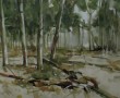 Bos nabij de Puttendijk -  Kaaistoep - 05122018 Kunstwerk Bos nabij de Puttendijk -  Kaaistoep - 05122018