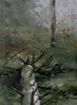 Omgevallen Berk - Kaaistoep - 04122018 Omgevallen Berk - Kaaistoep - 04122018