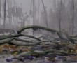 Omgevallen boom - Gilzerbaan - 23112018 Kunstwerk Omgevallen boom - Gilzerbaan - 23112018