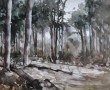 Bos bij het De Siptenpad - Kaaistoep - 29122018 Kunstwerk Bos bij het De Siptenpad - Kaaistoep - 29122018