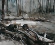 Kunstwerk Omgevallen boom bij het De Siptenpad - Kaaistoep - 31122018