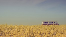 journey |ˈjərnē|  journey |ˈjərnē|