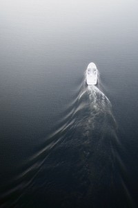 journey |ˈjərnē| IV journey |ˈjərnē| IV